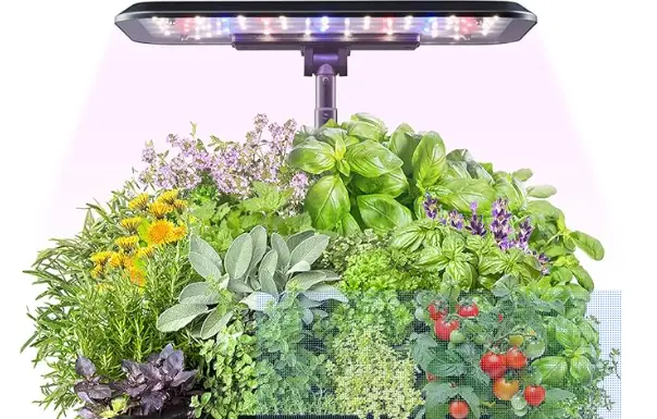 Hydropnic Growing System