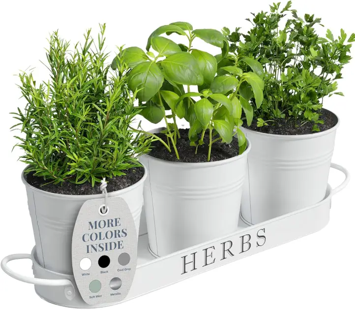Kitchen Container Herb Garden System