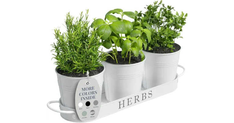 Kitchen Container Herb Gardening Systems