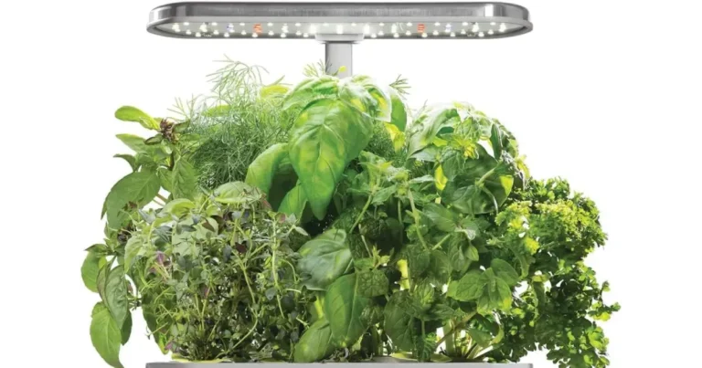 Kitchen Herb Hydroponic Systems