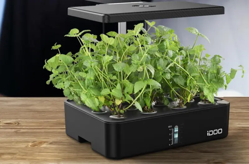 Grow Smarter with the iDOO Hydroponics Growing System