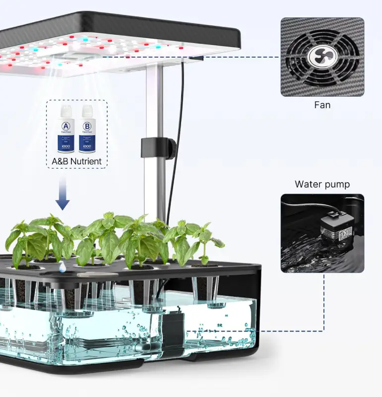 DOO Hydroponics System is ideal for herbs, leafy greens, and even compact fruits or flowers.