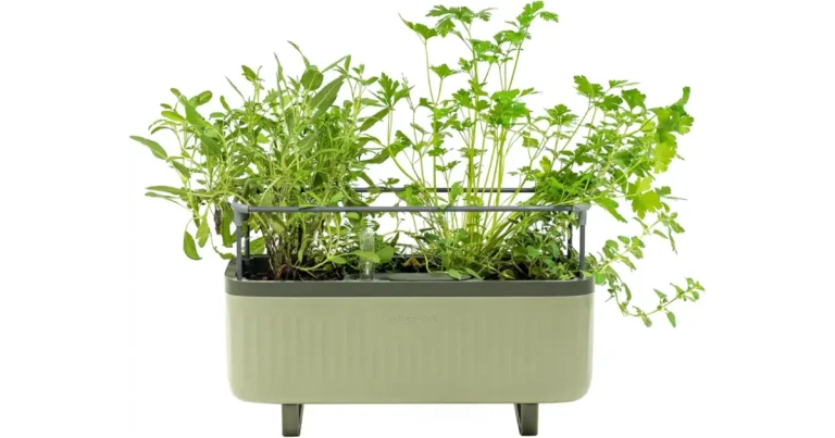 Self-Watering Herb Planters - Kitchen