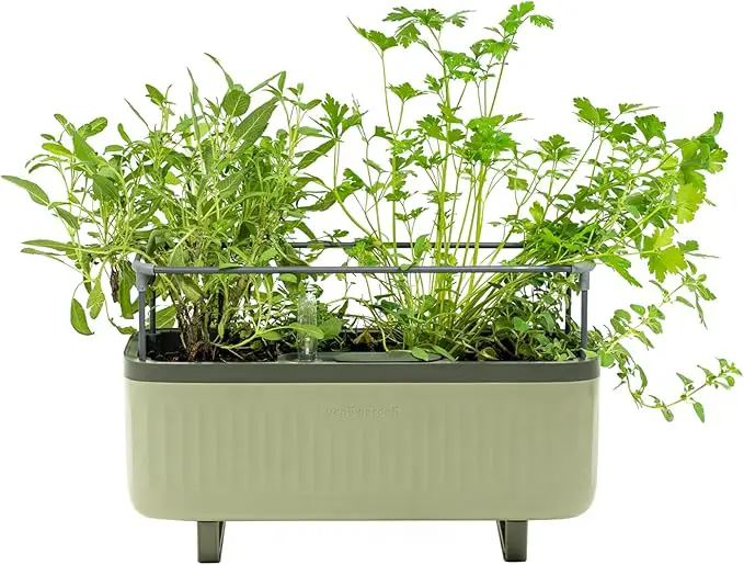 Self-Watering Herb Planters - Kitchen