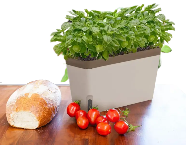 Kitchen Garden Herb Containers